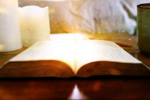 2分の1の魔法 は子供は何歳から楽しめる 対象年齢や映画デビューに向いてる内容 かみずの 映画 ブログ