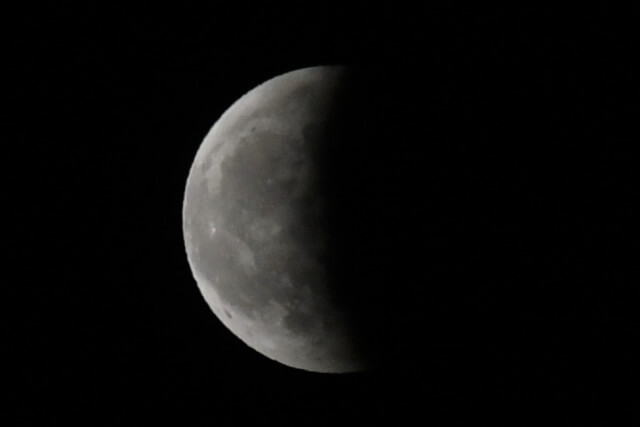 映画 ブラックウィドウ は字幕と吹き替えどっちがオススメ 見た人の声もまとめ