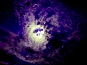 映画 ブラックウィドウ は字幕と吹き替えどっちがオススメ 見た人の声もまとめ