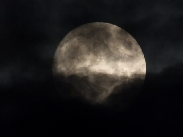 映画 ブラックウィドウ はアベンジャーズやアイアンマン見てないけど楽しめる